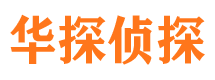 平塘市侦探公司